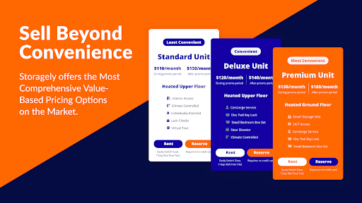 storagely value based pricing options